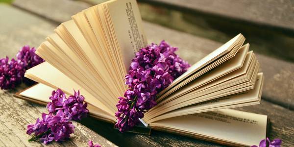 7 raisons d'aller au salon "Lire en Tursan"
