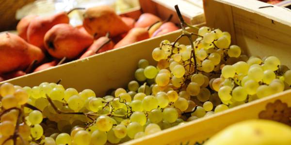 Les marchés en Landes Chalosse