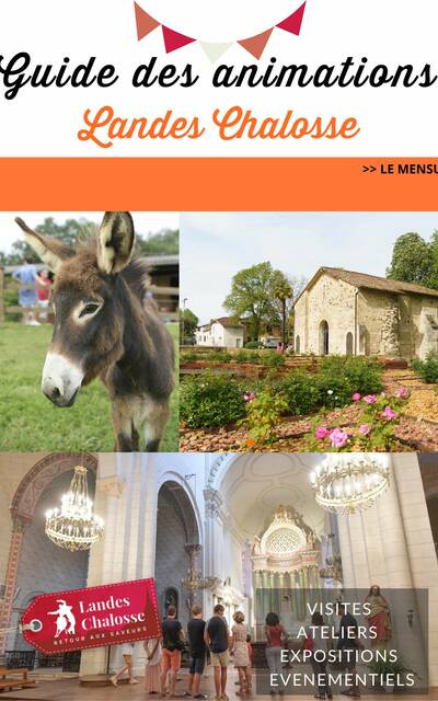 Animations en Landes Chalosse
