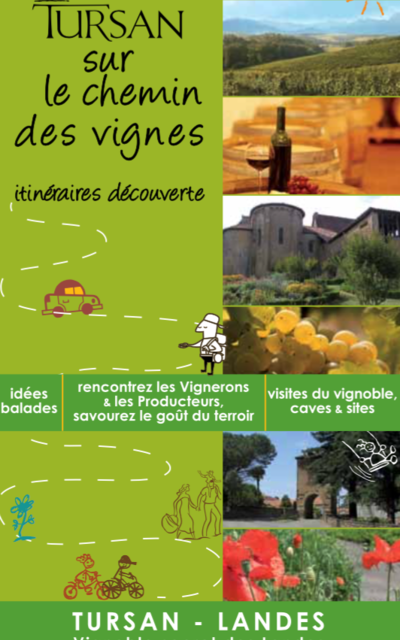 Ruta del vino