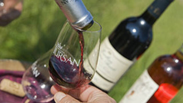 Tasting the wines of Tursan