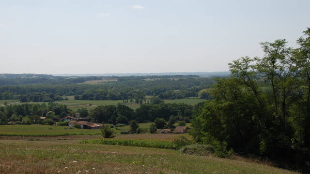 The Chalosse landscape