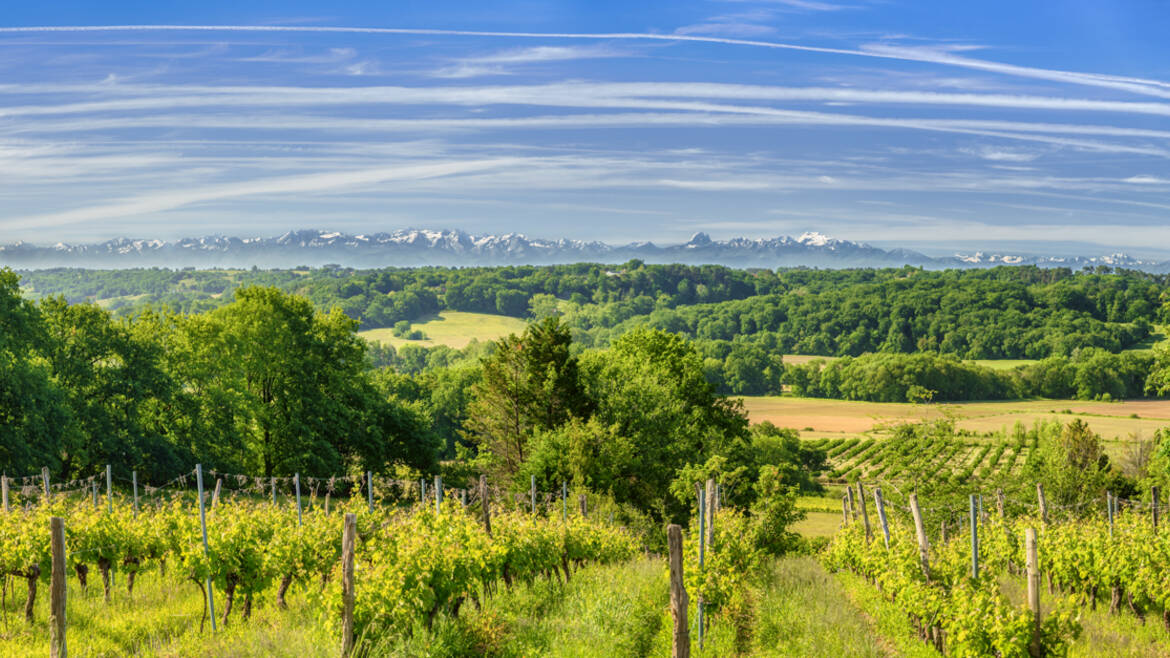 Landes Chalosse Tourisme Vos vacances dans le SudOuest