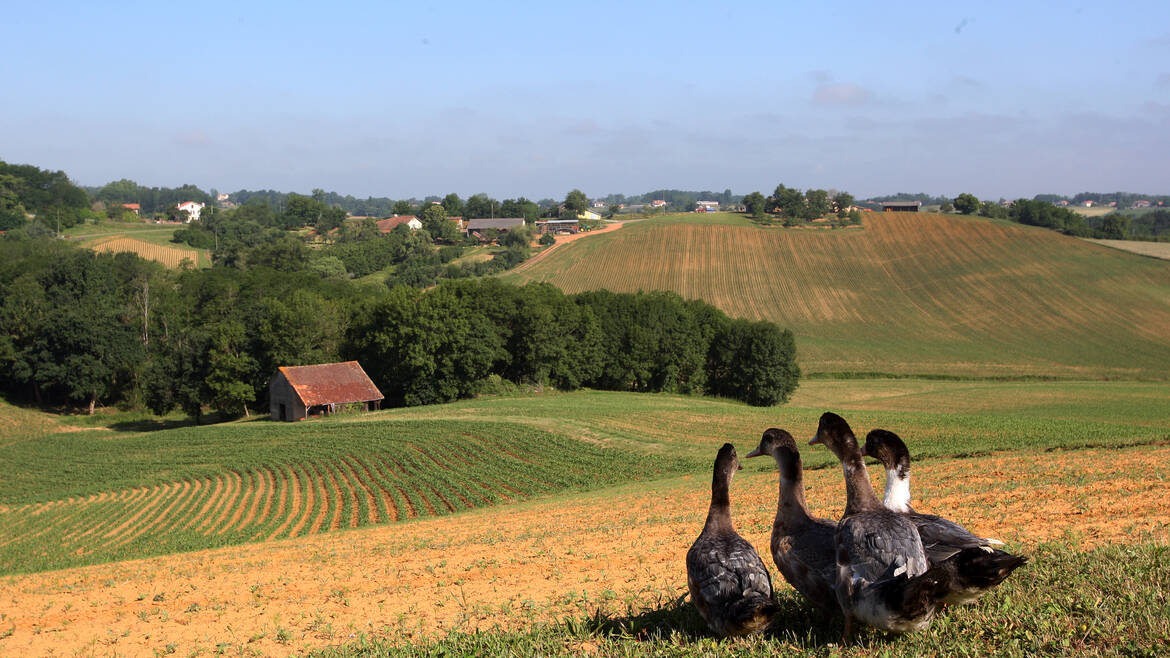 Bienvenue en Landes Chalosse, pays du tourisme gourmand !