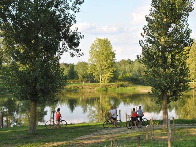 Paseos por la naturaleza