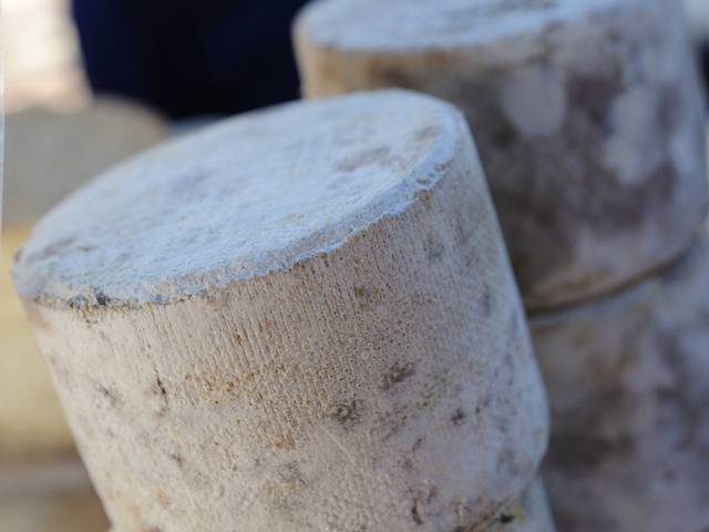 Fromage et produits laitiers