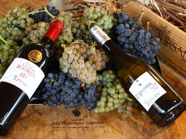 Vins du Tursan, Armagnac et Bières