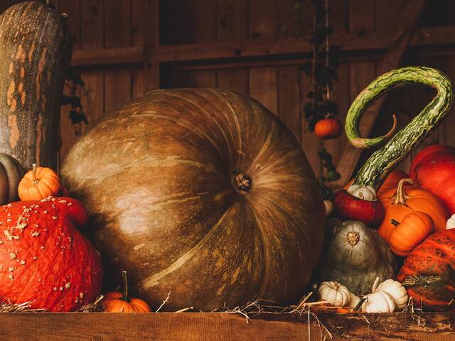 Automne gourmand et culturel