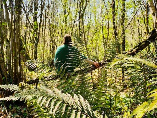 Bain de forêt