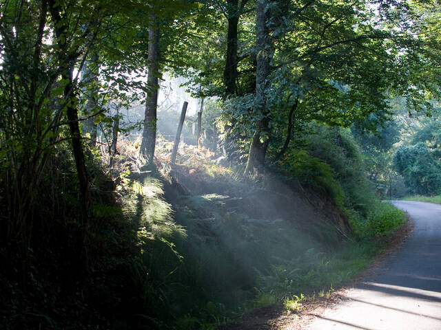 La randonnée en Landes Chalosse