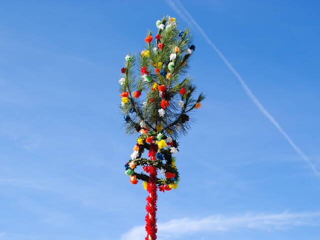 Navega por las tradiciones gasconas