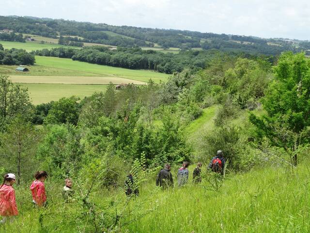 Coteau du Moulin -Pimbo