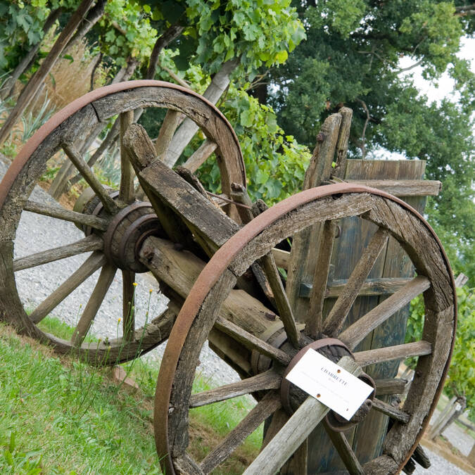 Museo de la Chalosse - Montfort-en-Chalosse