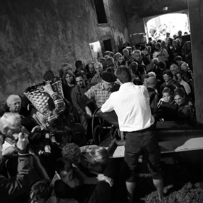 Fiesta de la vendimia, Lagar