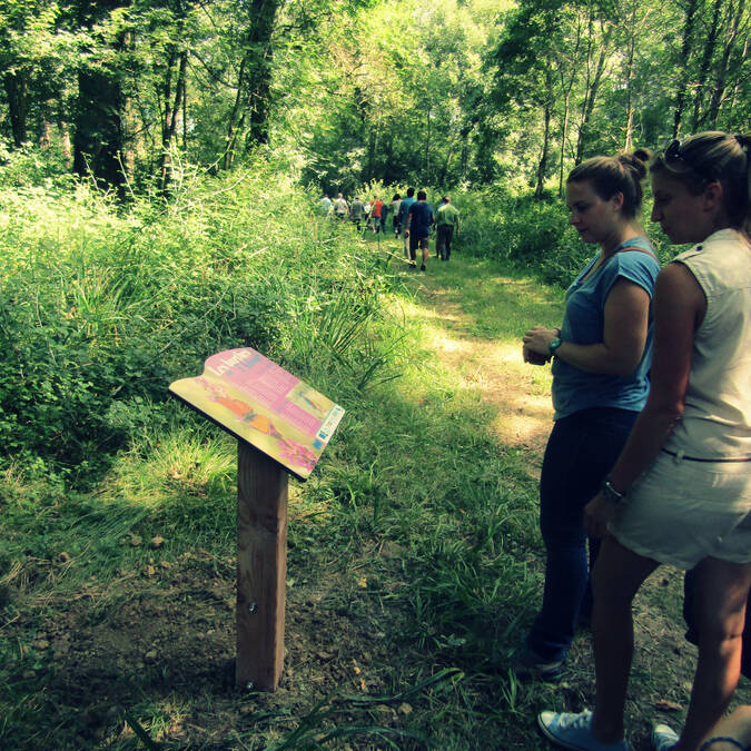 Sentier de l'Adour - Faune et flore