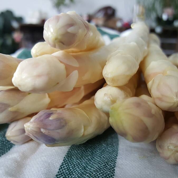 L'Asperge