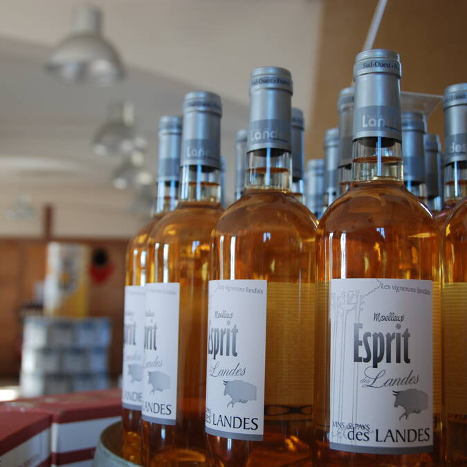 Vin de pays des Landes