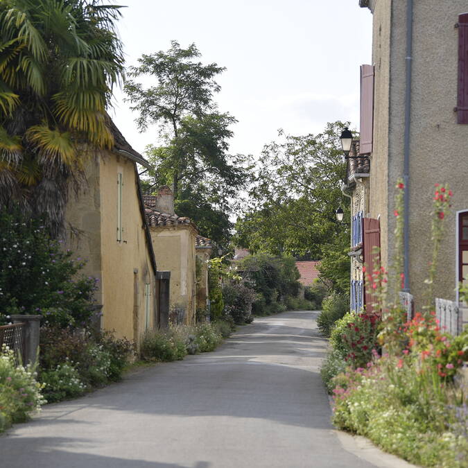 Ruelle de Pimbo