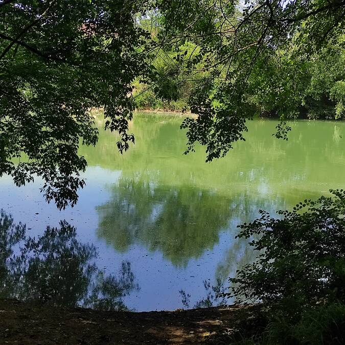 Les berges de l'Adour
