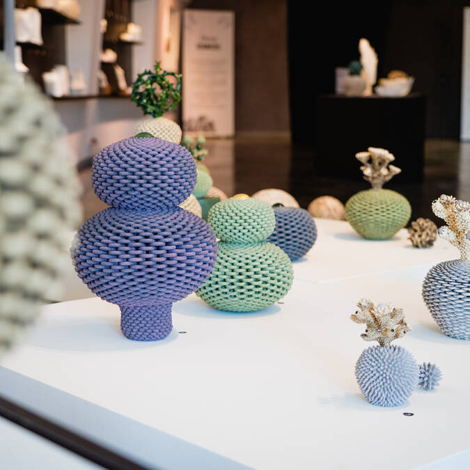 Très belle pièce de l'exposition